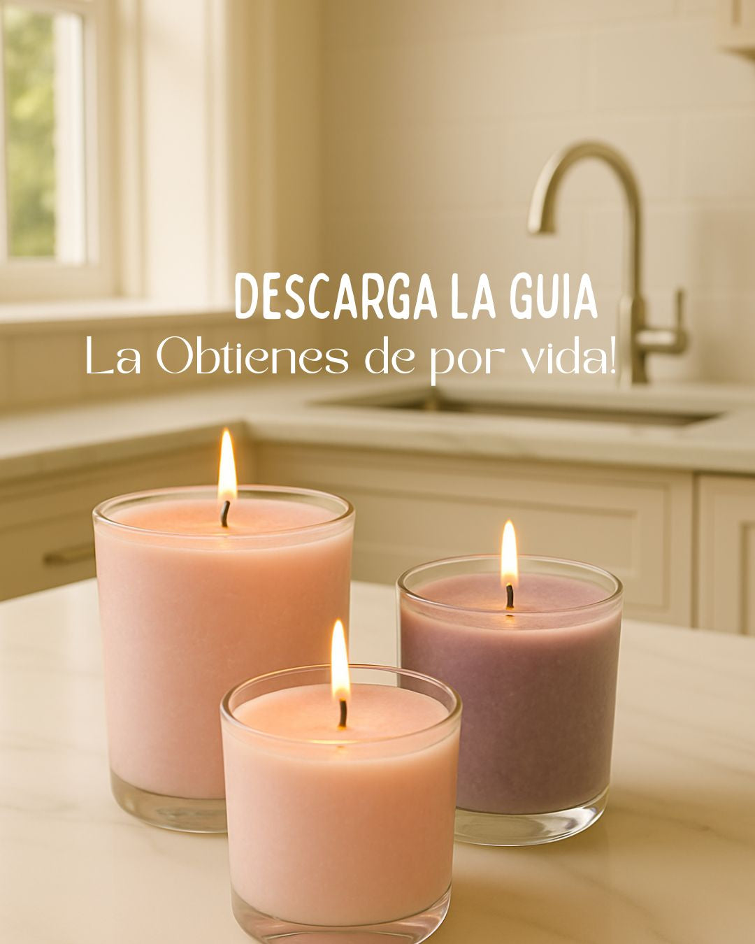 Libro “Secretos de Limpieza” Crea, ahorra y gana desde tu hogar.